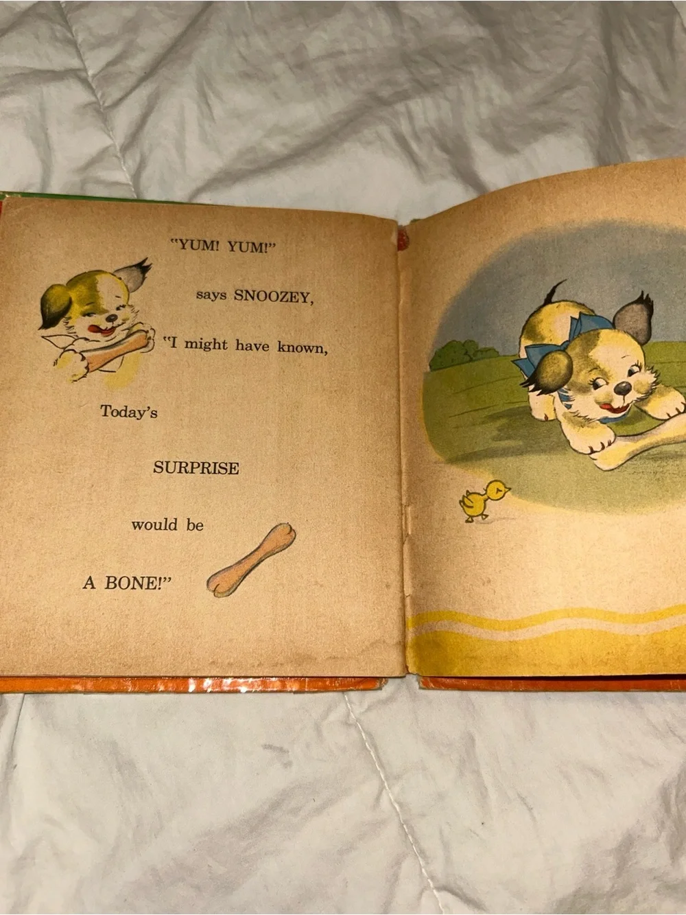 Surprise For Snoozey By Emma McKean, 1944, Tell A Tale Hardcover